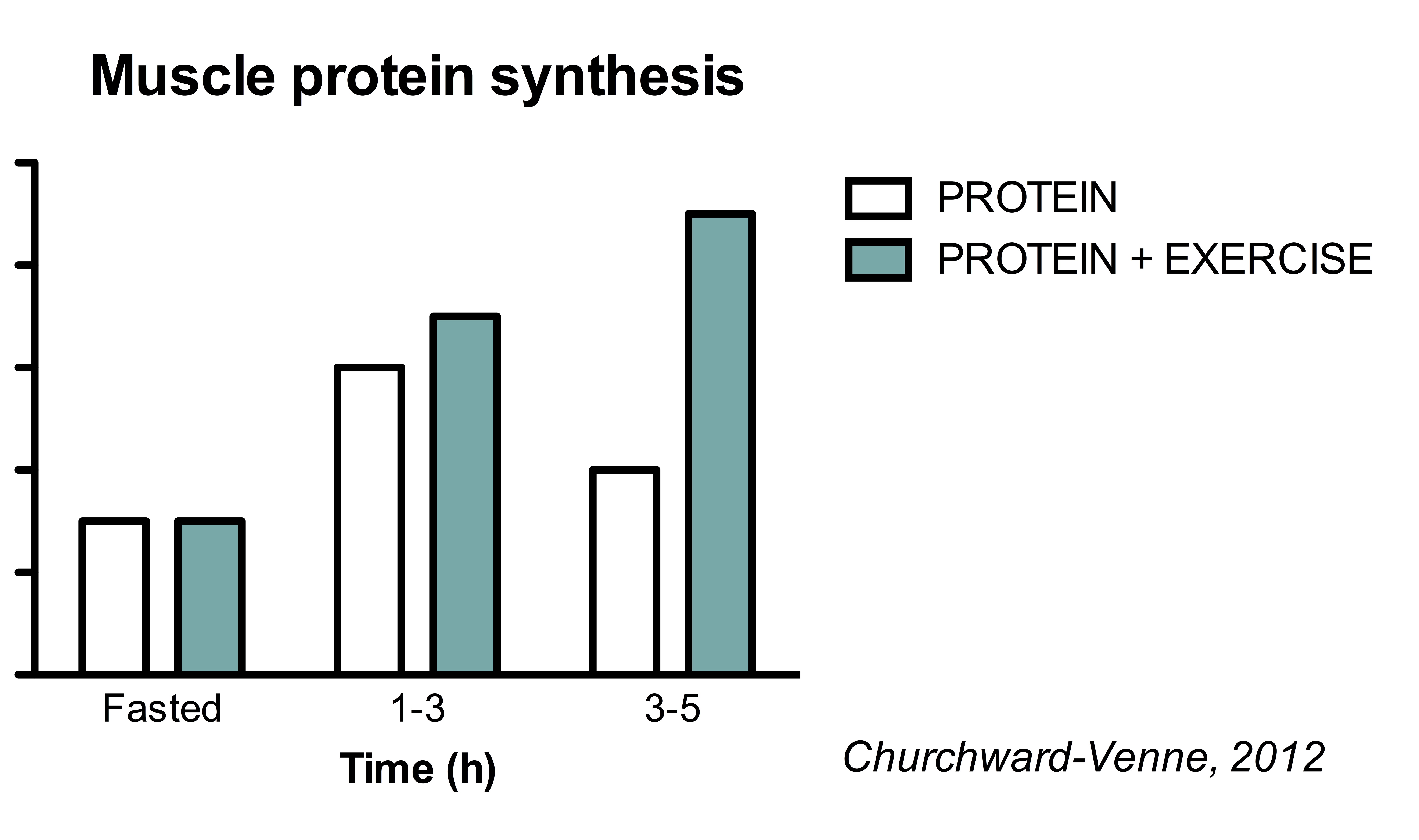 Protein synthesis post-exercise