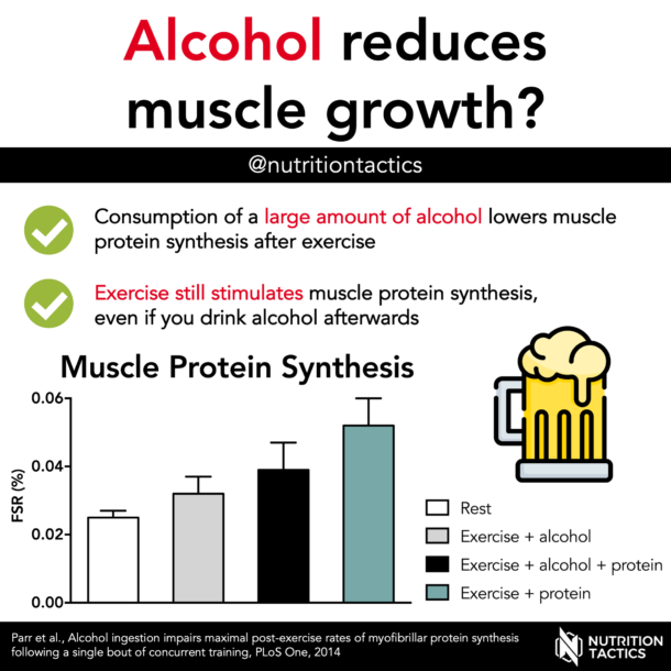 alcohol-reduces-muscle-growth