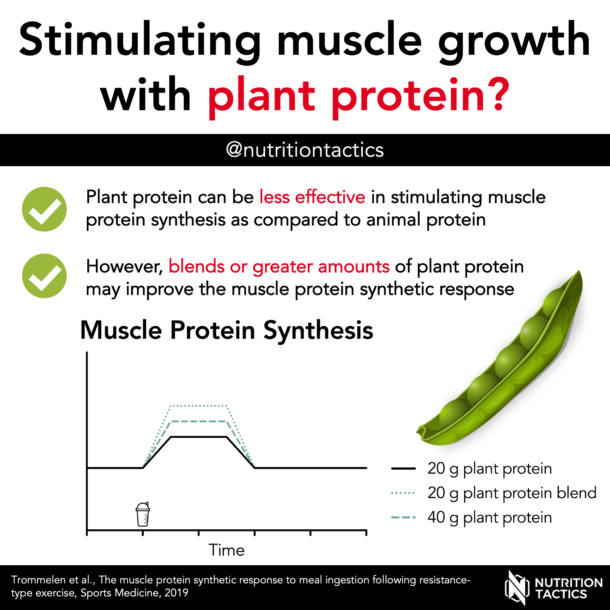 Stimulating muscle growth with plant protein