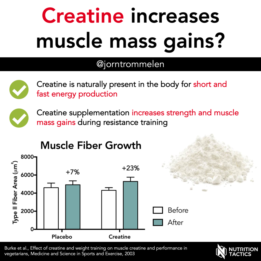 Creatine increases muscle mass gains?