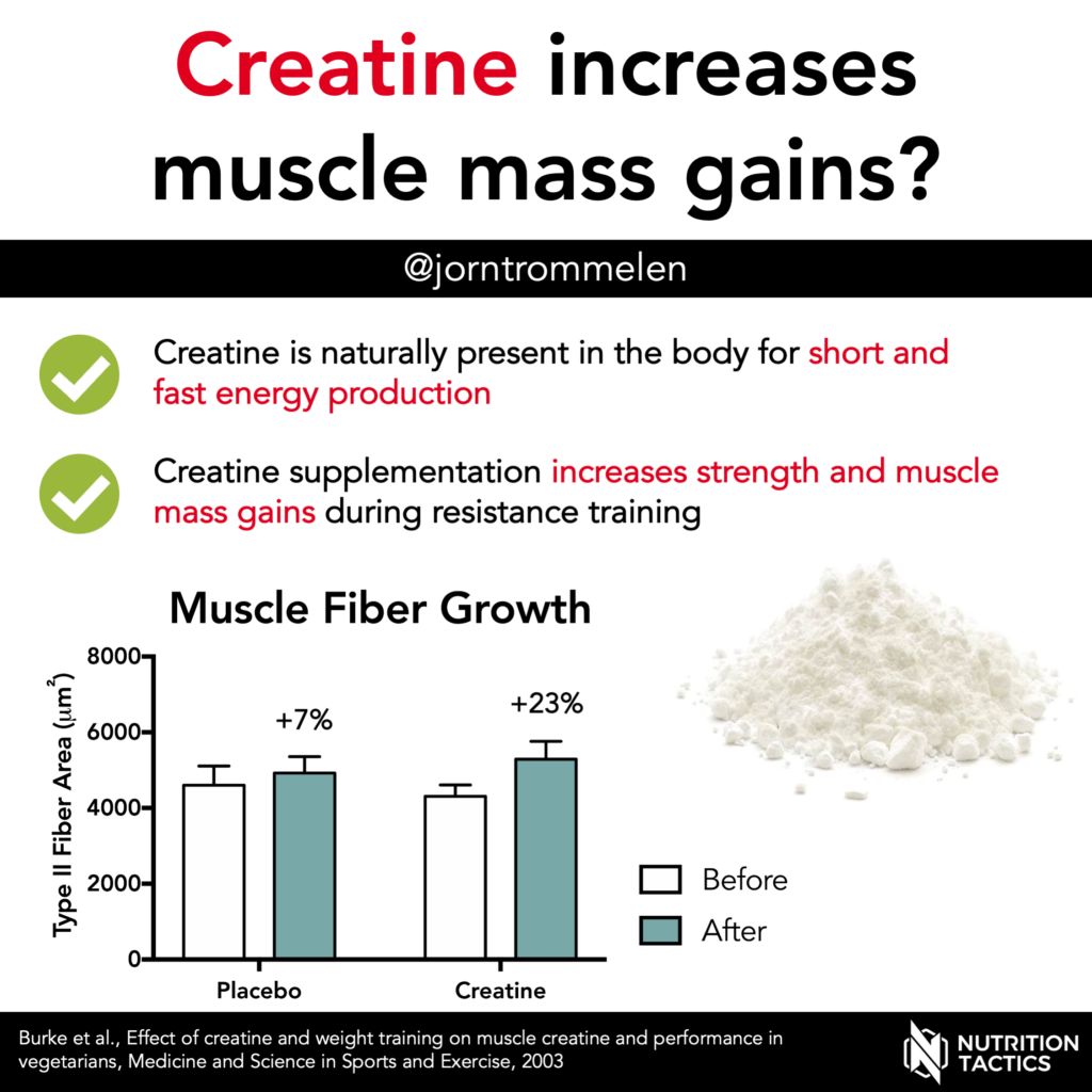 Creatine Increases Muscle Mass Gains 