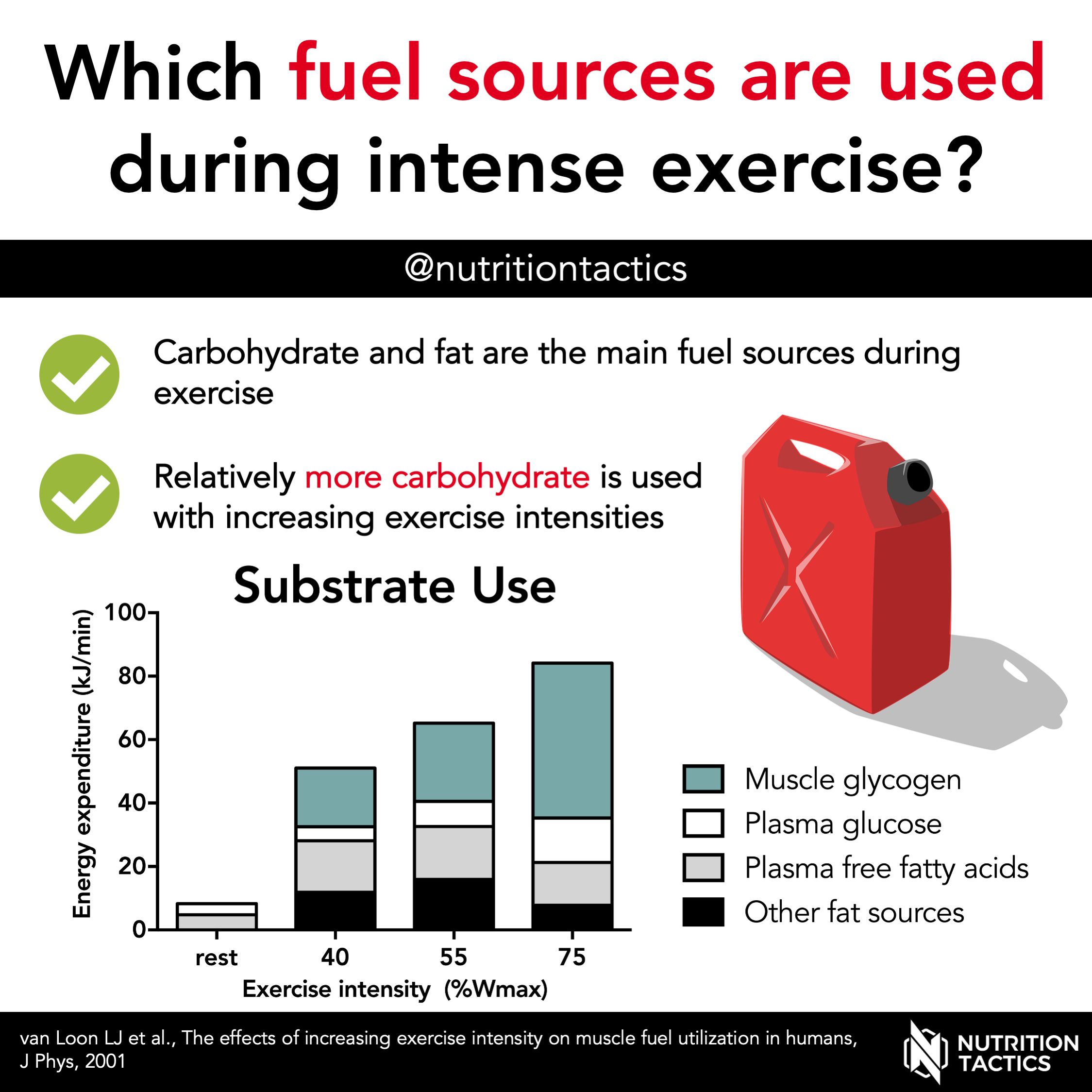 Muscular fuel sources