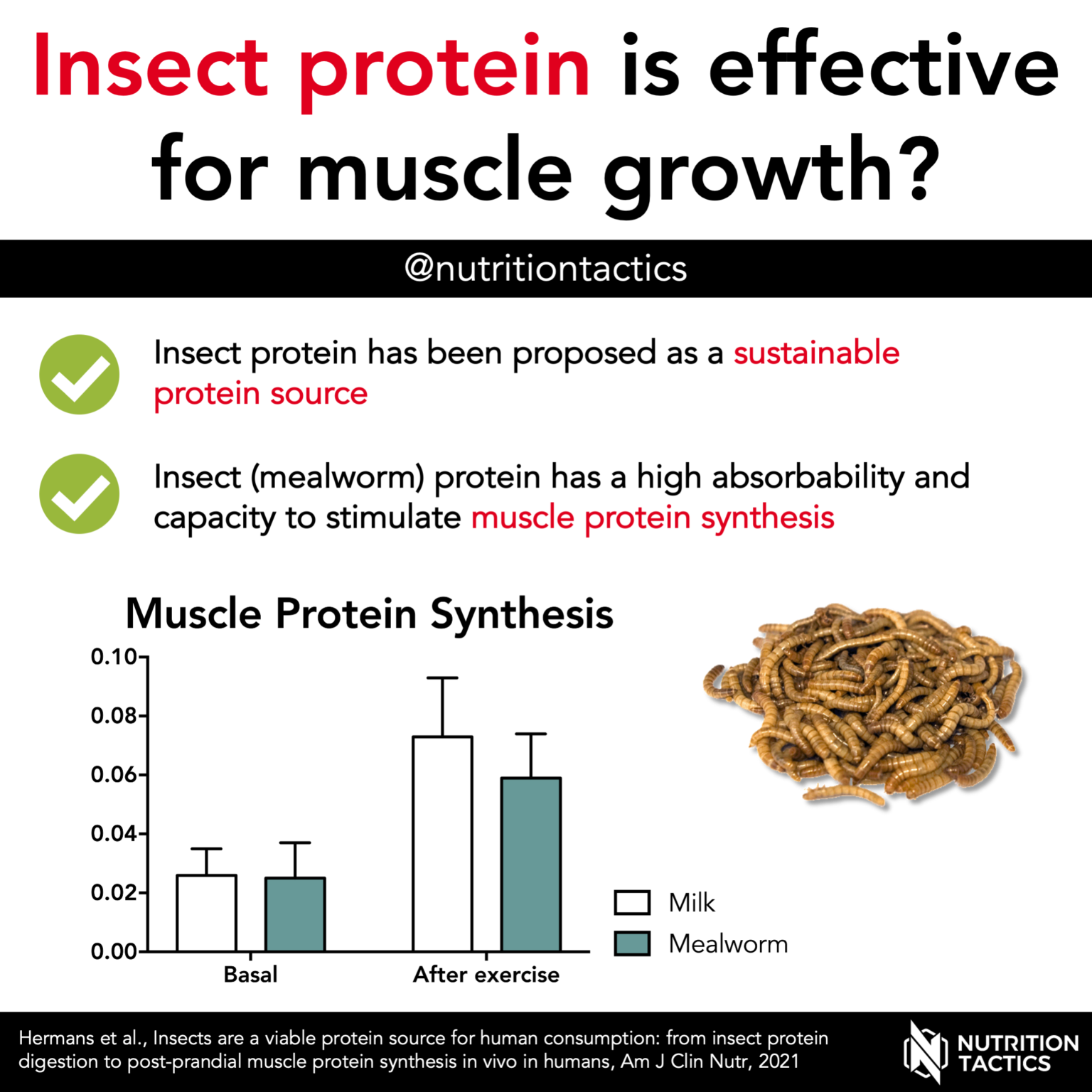 Insect protein is effective for muscle growth?