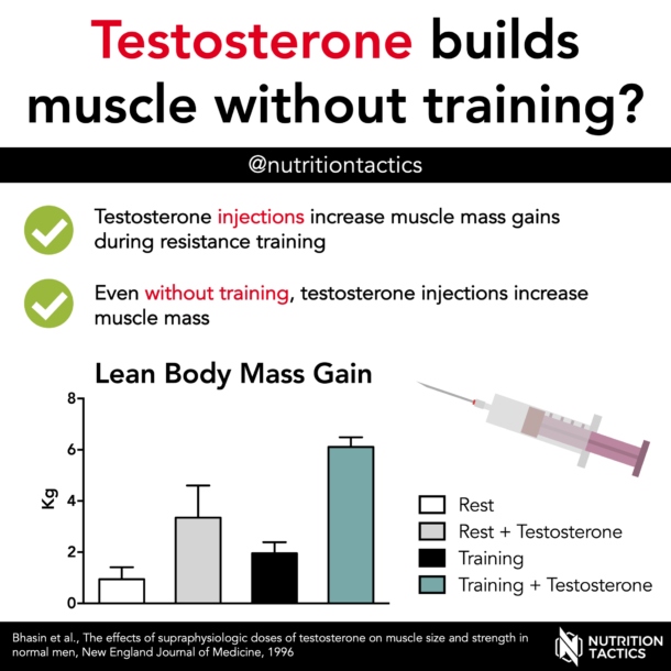 Testosterone Builds Muscle Without Training?